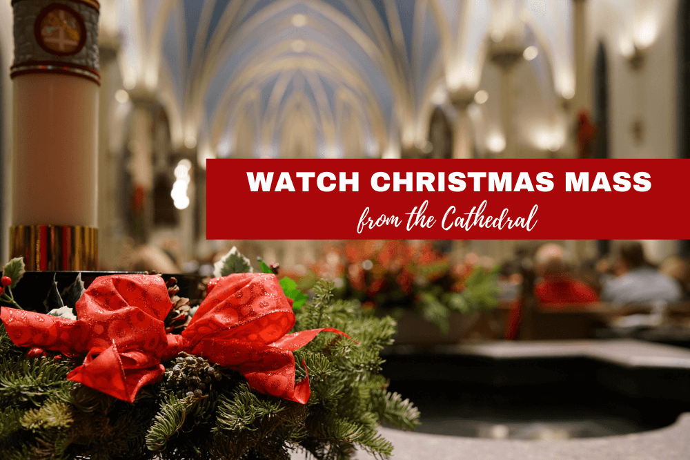 WATCH VIDEOS Christmas Masses from the Cathedral of Saint Andrew