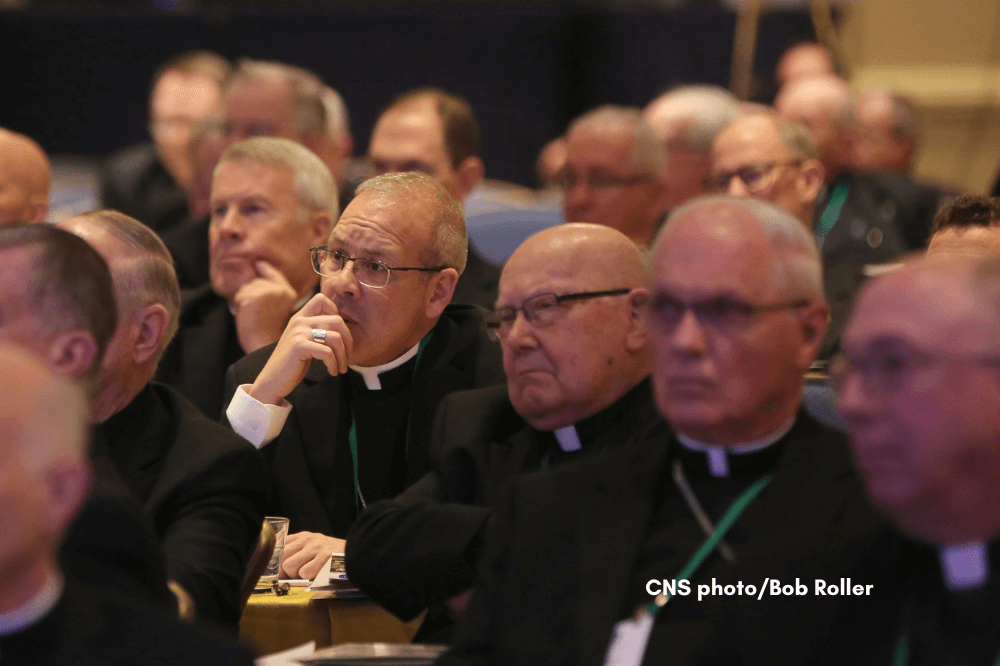 Fall General Assembly of US Bishops November 2018, CNS photo by Bob Roller