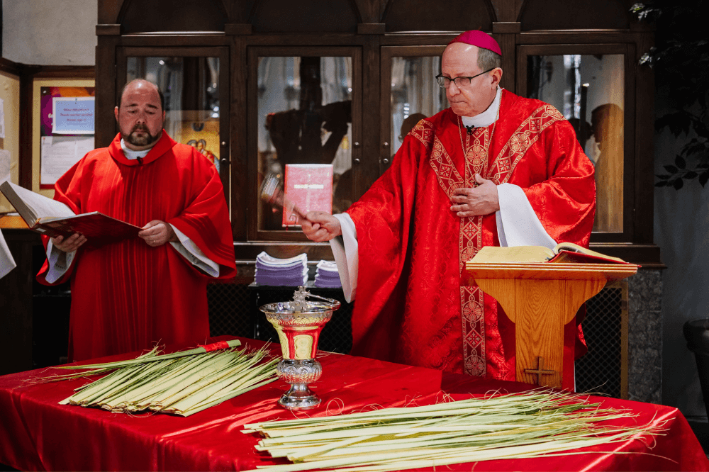 Blessing of palms, Bishop Walkowiak, Palm Sunday Mass 2023